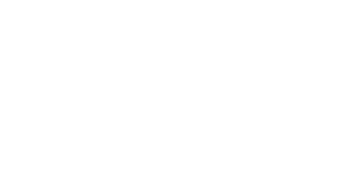 mini-mayorista.png